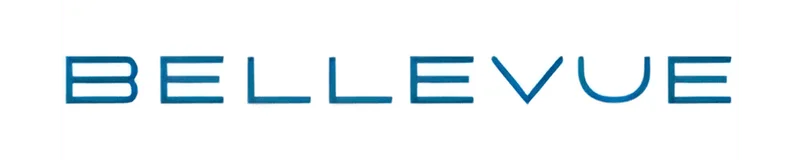 Bellevue Investments