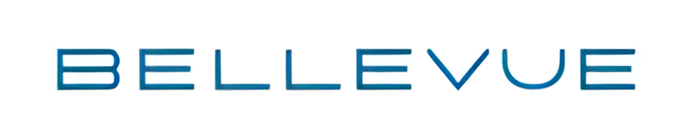 Bellevue Investments